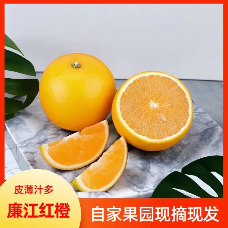 廉江红橙饱满正宗红橙红心橙新鲜皮薄橙味现摘天然多汁阳光鲜甜