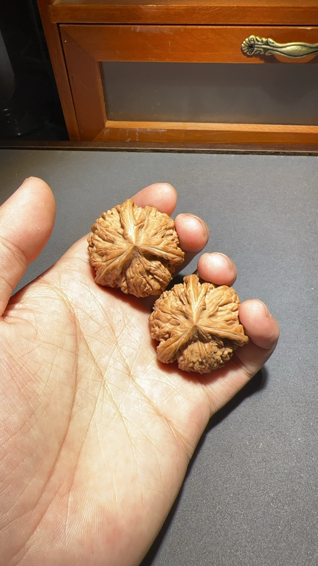 40尺御龙粗筋正奔核桃