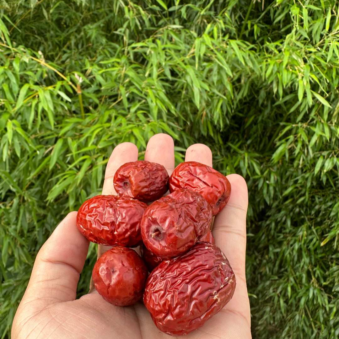 【嗒枣】净重-1500g【阿秀现收山货】