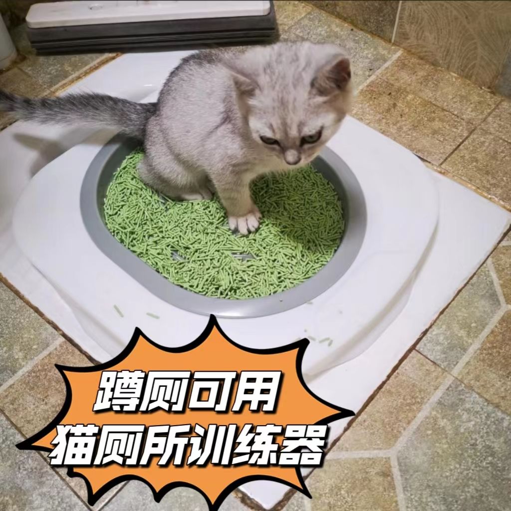 猫厕所猫咪蹲坑辅助神器猫咪马桶学习引导训练厕所猫咪蹲便训练器