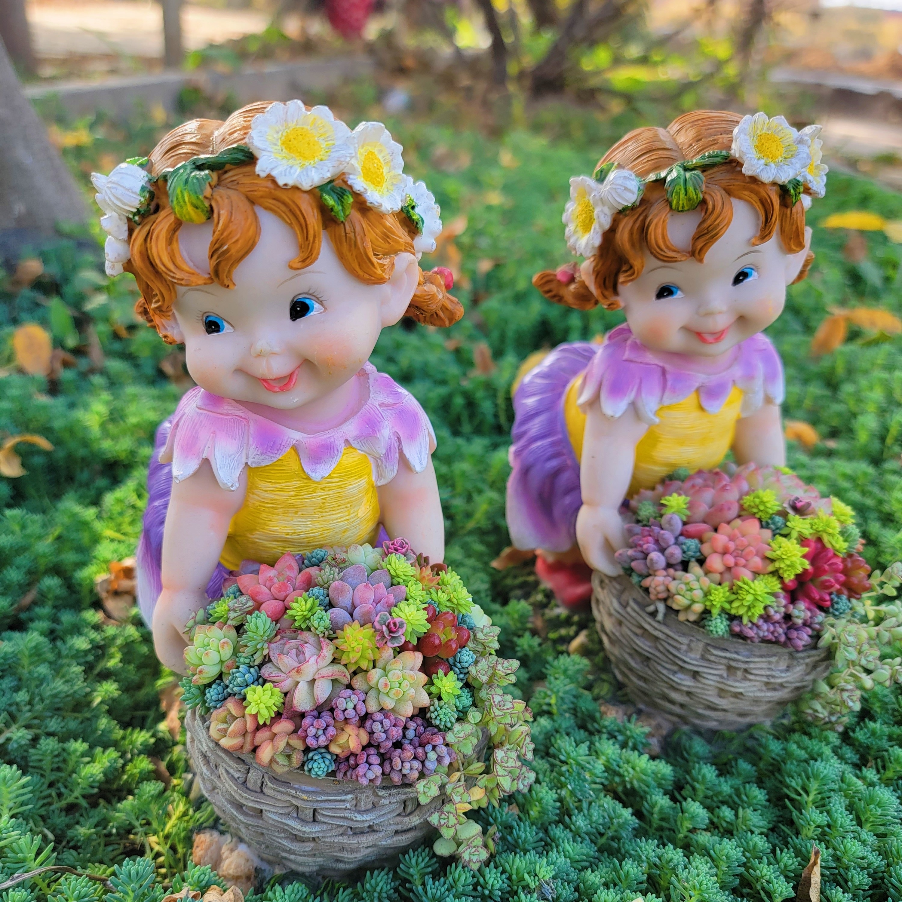 多肉组合盆栽私人订制成品发货