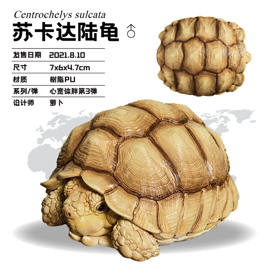 动物星球心宽体胖系列第三弹龟 苏卡达公 爬宠 手办 模型
