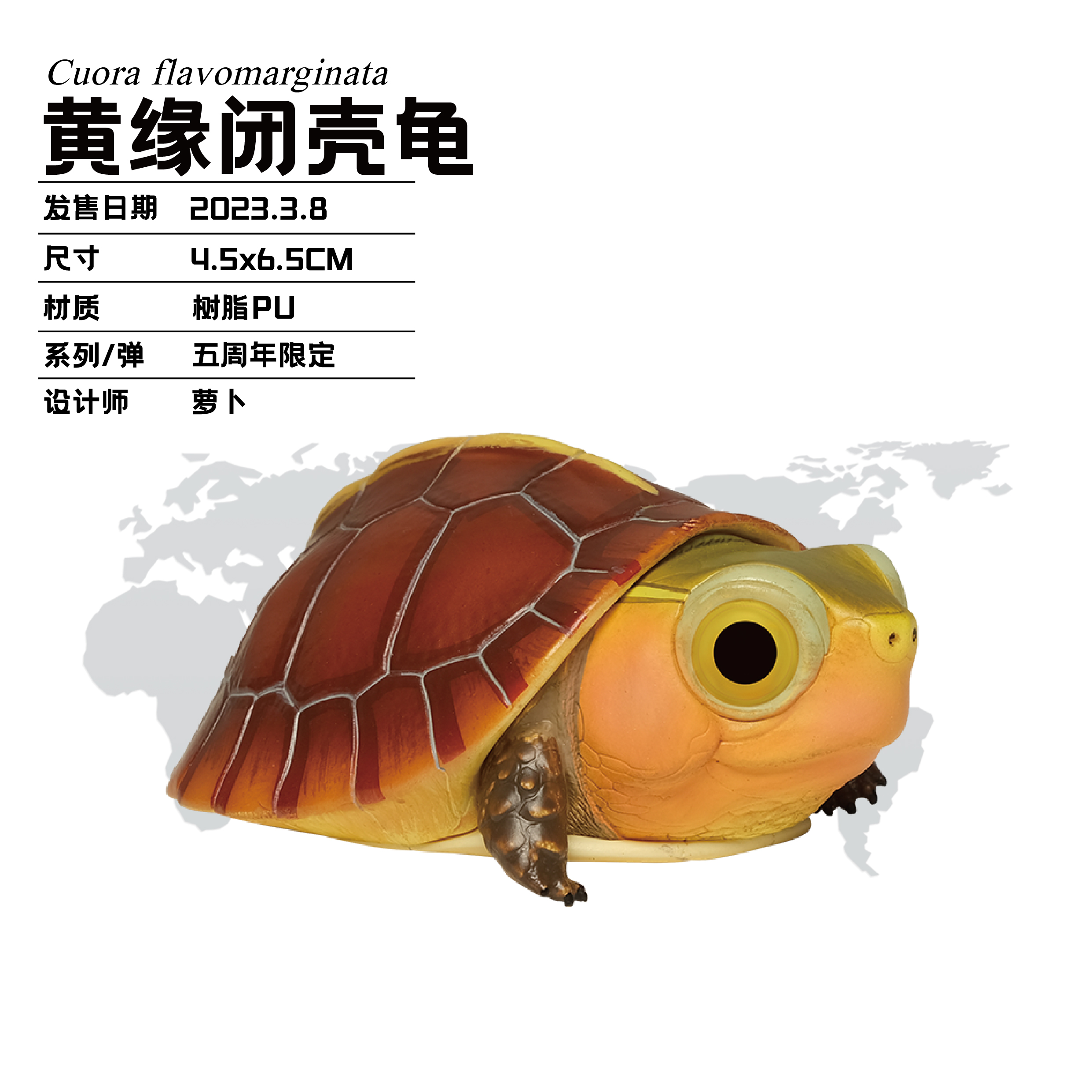 动物星球五周年限定 起源  黄缘  手办 摆件 限定