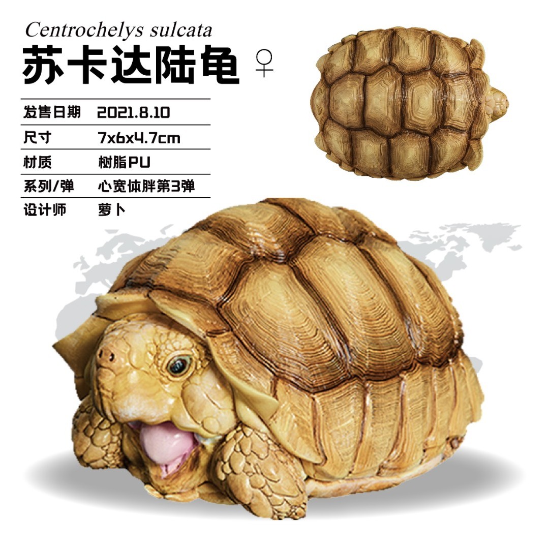 动物星球心宽体胖系列第三弹龟 苏卡达母 爬宠 手办 模型