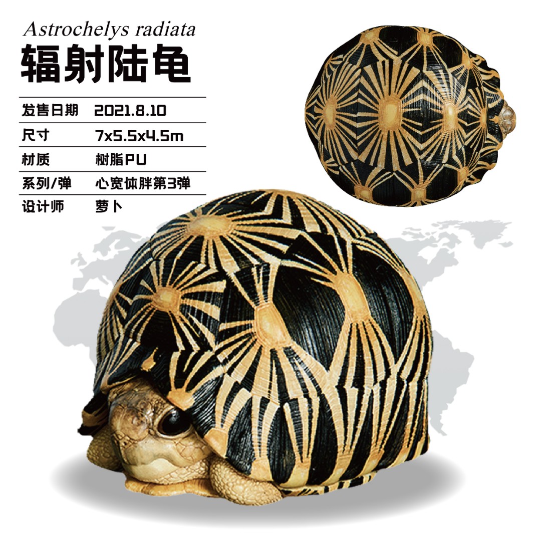 动物星球【小暴专属】心宽体胖系列 辐射陆龟 爬宠 手办模型