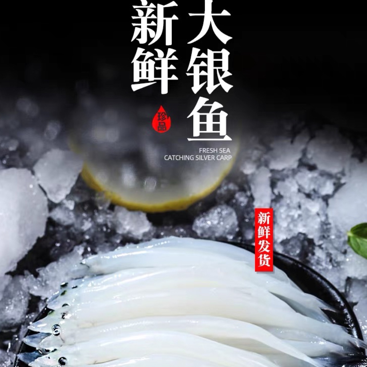 淡水银鱼 无刺无鳞  鲜活速冻