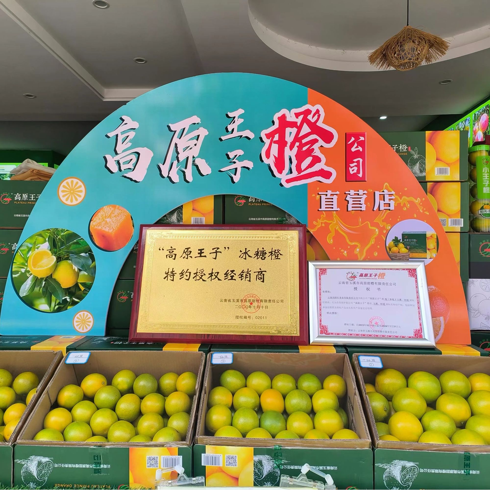 高原王子绿色食品中国名橙高原王子冰糖橙哀牢山橙现货正品天花板