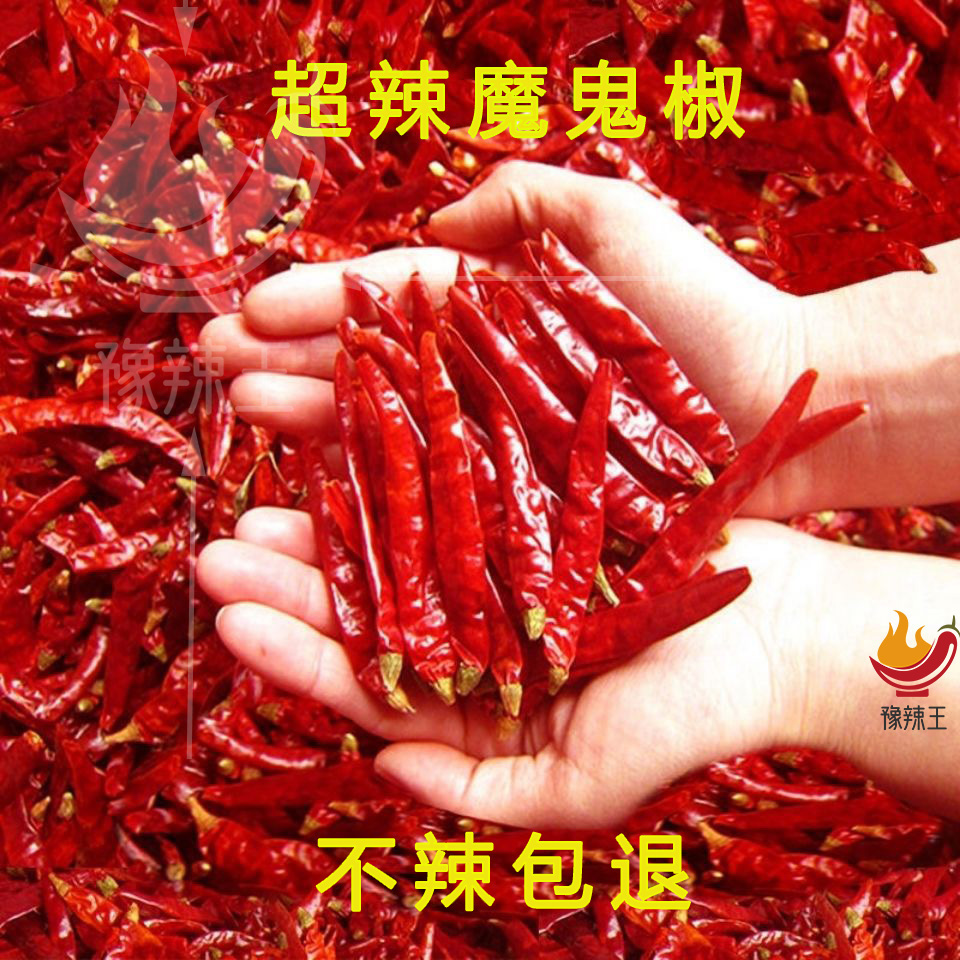 特辣干辣椒魔鬼椒印度S17红辣椒爆辣散装辣椒干调味饭店250g/500g