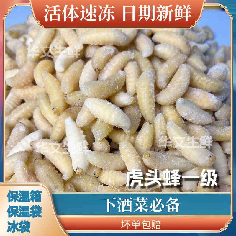 虎头蜂野生一级蜂蛹天然新鲜马蜂蛹活体干油炸即吃营养泡酒500g