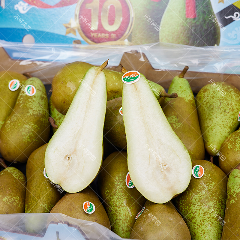 【乐鲜果园】比利时啤梨软硬两吃梨子新鲜当季水果4斤装 顺丰快递