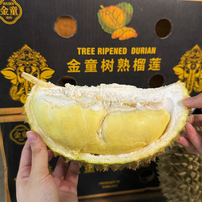 【直播间一物一拍】乐鲜果园泰国金童金枕榴莲鲜果1个装 顺丰快递