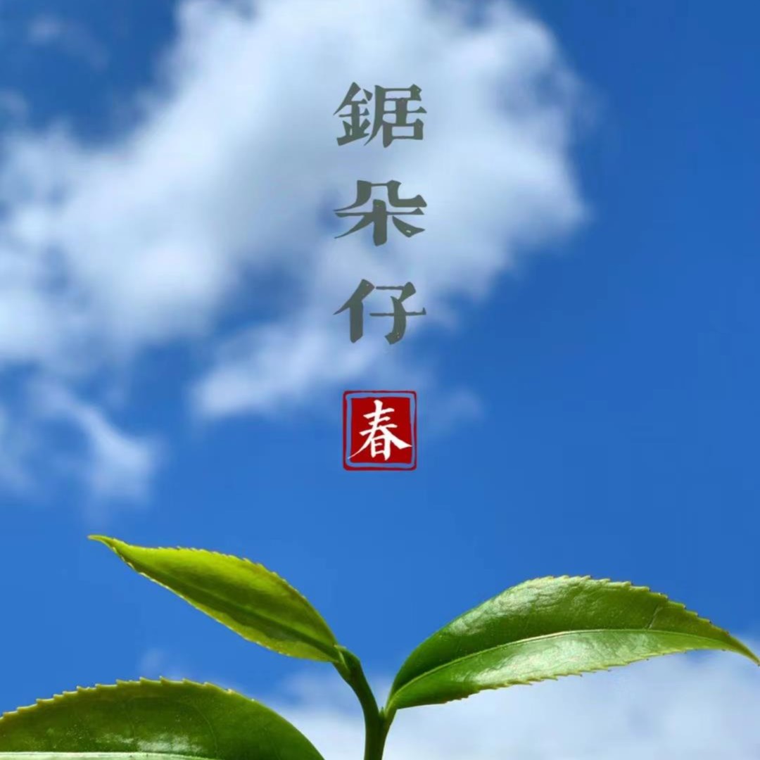 凤凰单丛 高山老枞锯朵仔 潮州凤凰原产区乌龙茶杏仁香
