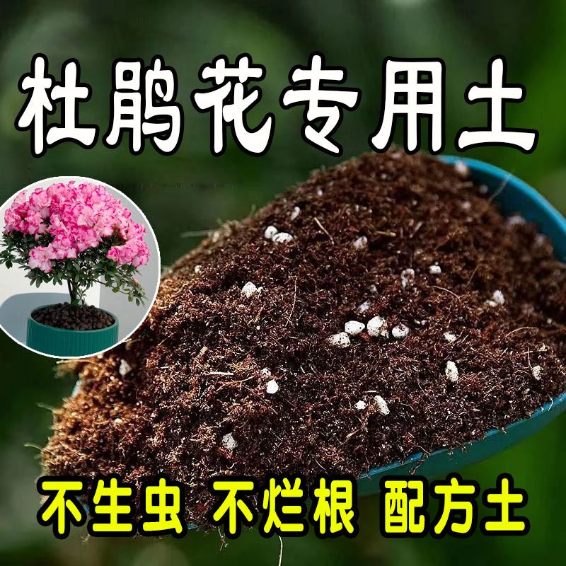 杜鹃花专用土疏松轻质透气营养土小白杨七零好运娇娇女