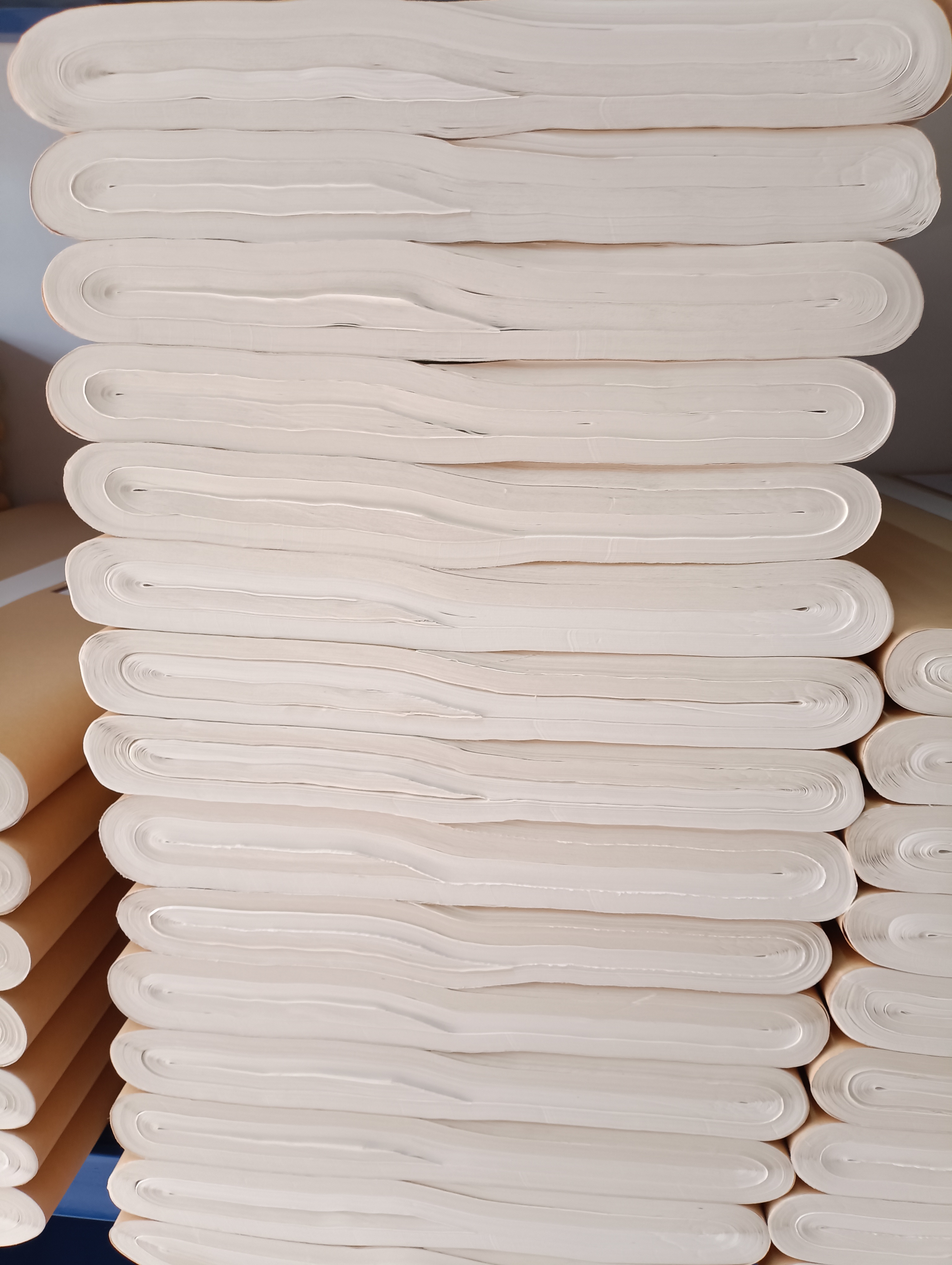 四尺珠光蝉衣67x134工筆画写小楷