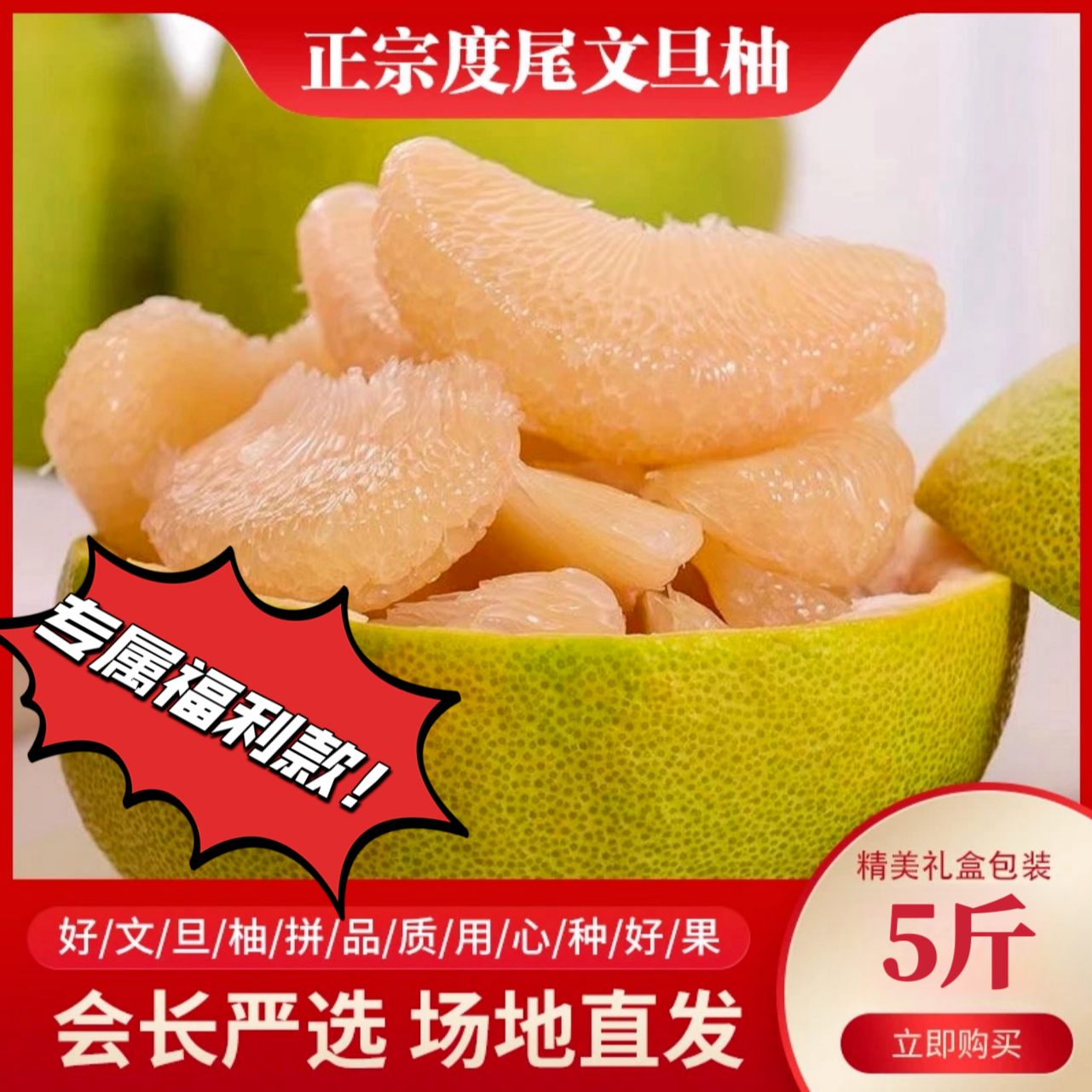 （新粉专属福利）福建度尾文旦柚新鲜水果红心蜜柚子老树果子5斤装