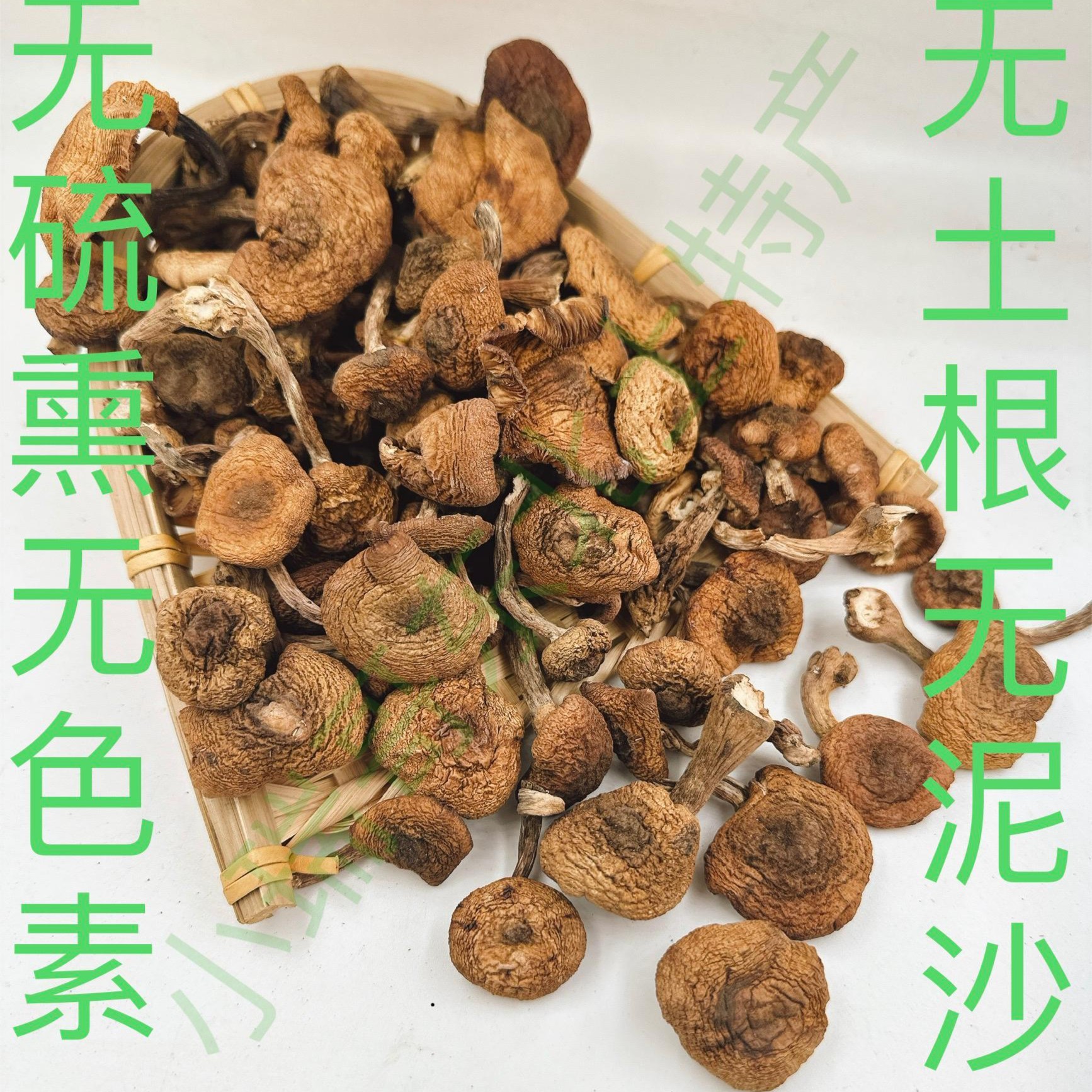 【榛蘑+赠人参】东北野生榛蘑自然晾晒无添加新货东北特产姥姥