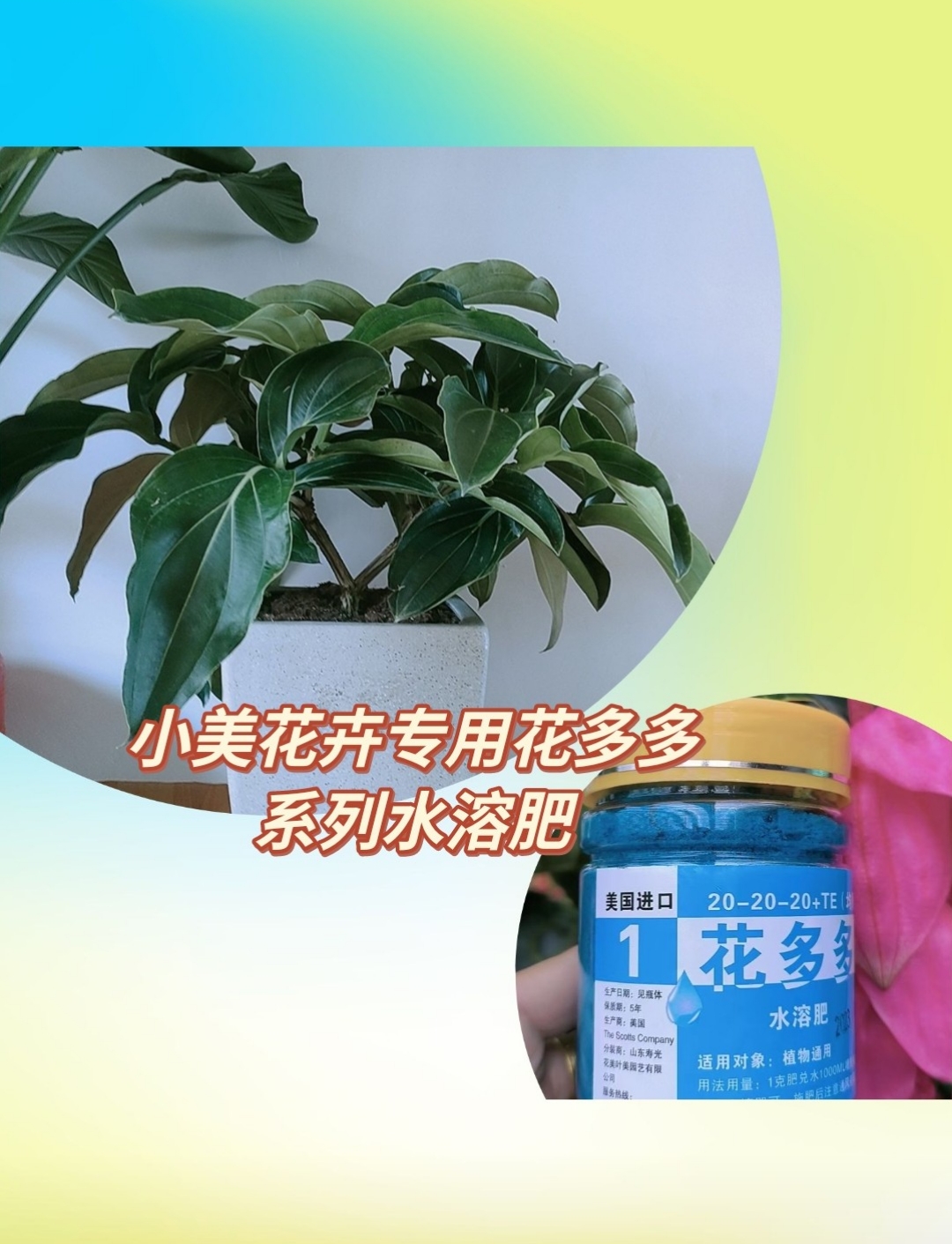 花多多水溶肥花卉专用肥