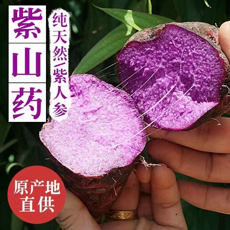 赣南紫山药脚板薯2025江西农产品紫色大薯现挖农家毛薯新鲜蔬菜