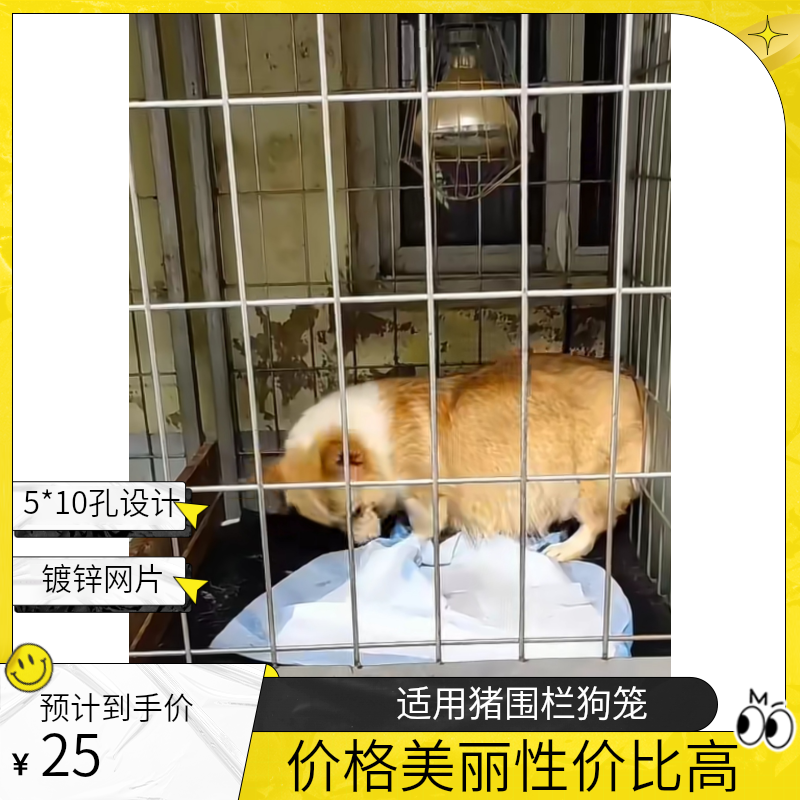 5*10孔铁丝网镀锌网片猪围栏狗笼围网