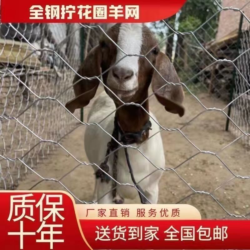 热镀锌拧花网圈羊网20米长一卷11*13孔2.5毫米丝粗铁丝网围栏防护