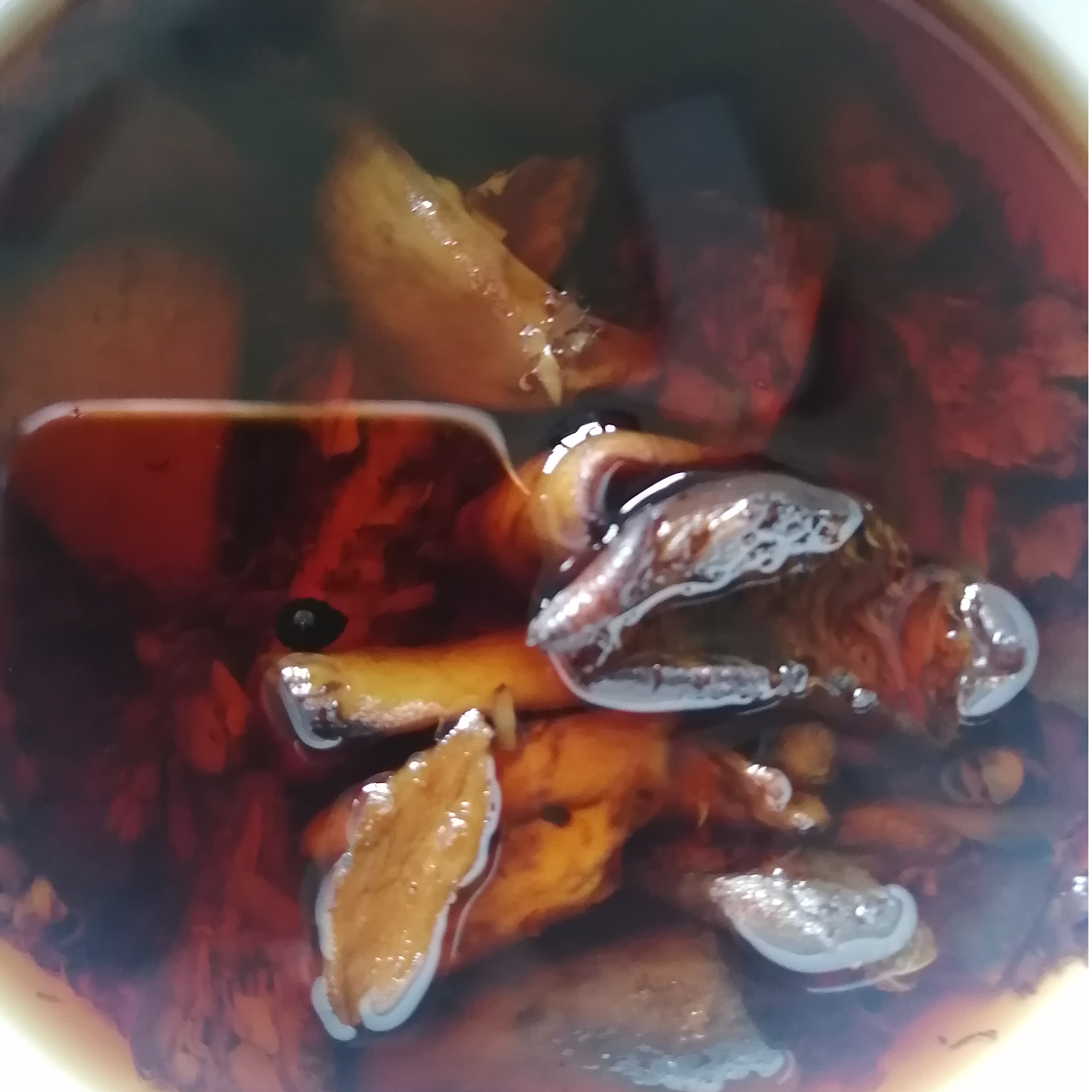 （农家丛菌油）湘西赶集直播土特产干货小鱼小虾豆豉酸菜250克起