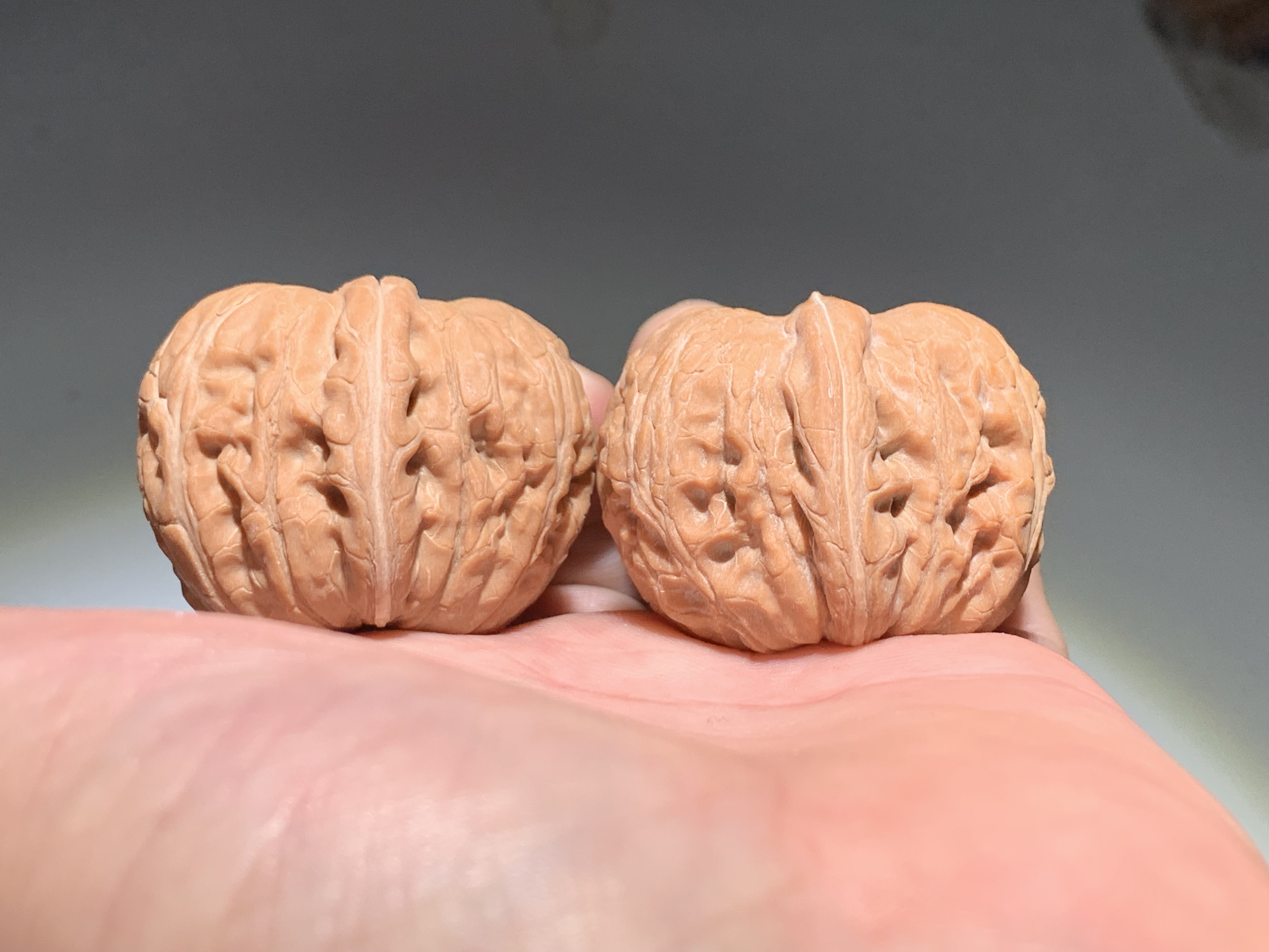 全品《平谷元宝》41尺骨质杆杆的精配 金锭桩型 喜欢的来！