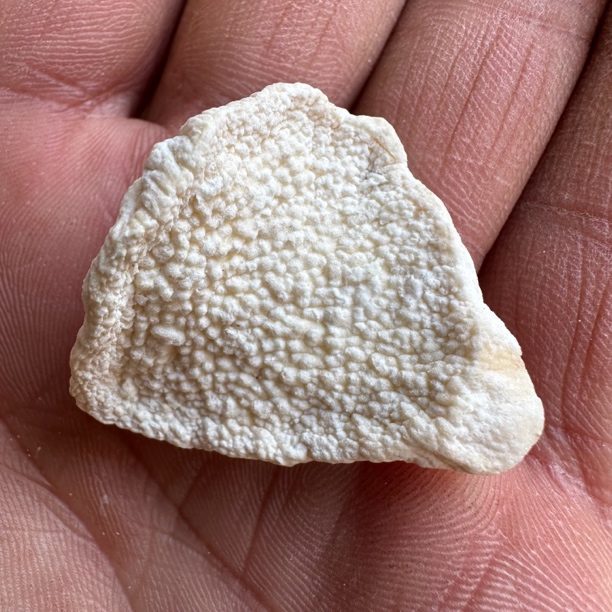 铁棍山药 怀山药无硫干货