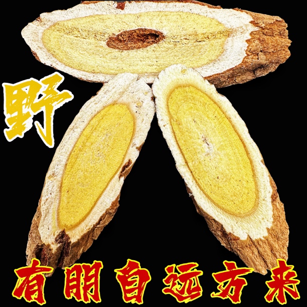 甘肃定西岷县深山ye黄芪无硫黄芪很大片 这才是你送礼的ye黄芪