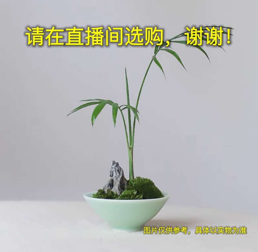 （请在直播间选购后再付款）家具饰品摆件天然石头摆件 办公室摆件