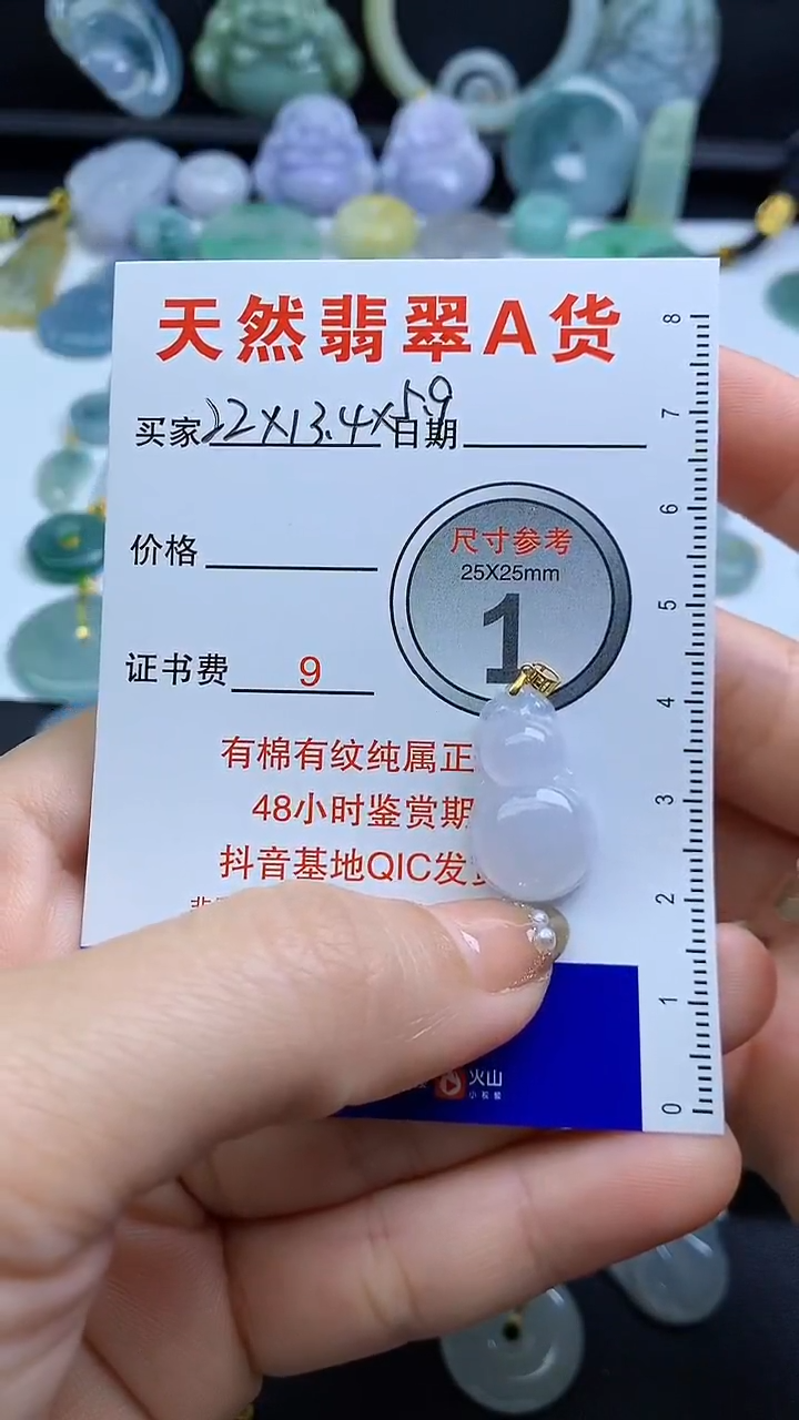 【闪购商品】翡翠颈饰未镶嵌1