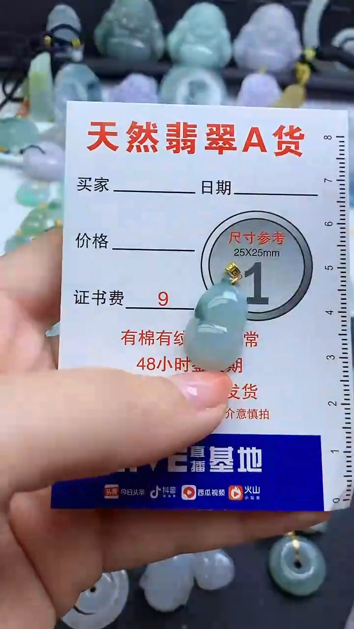 【闪购商品】翡翠颈饰未镶嵌1