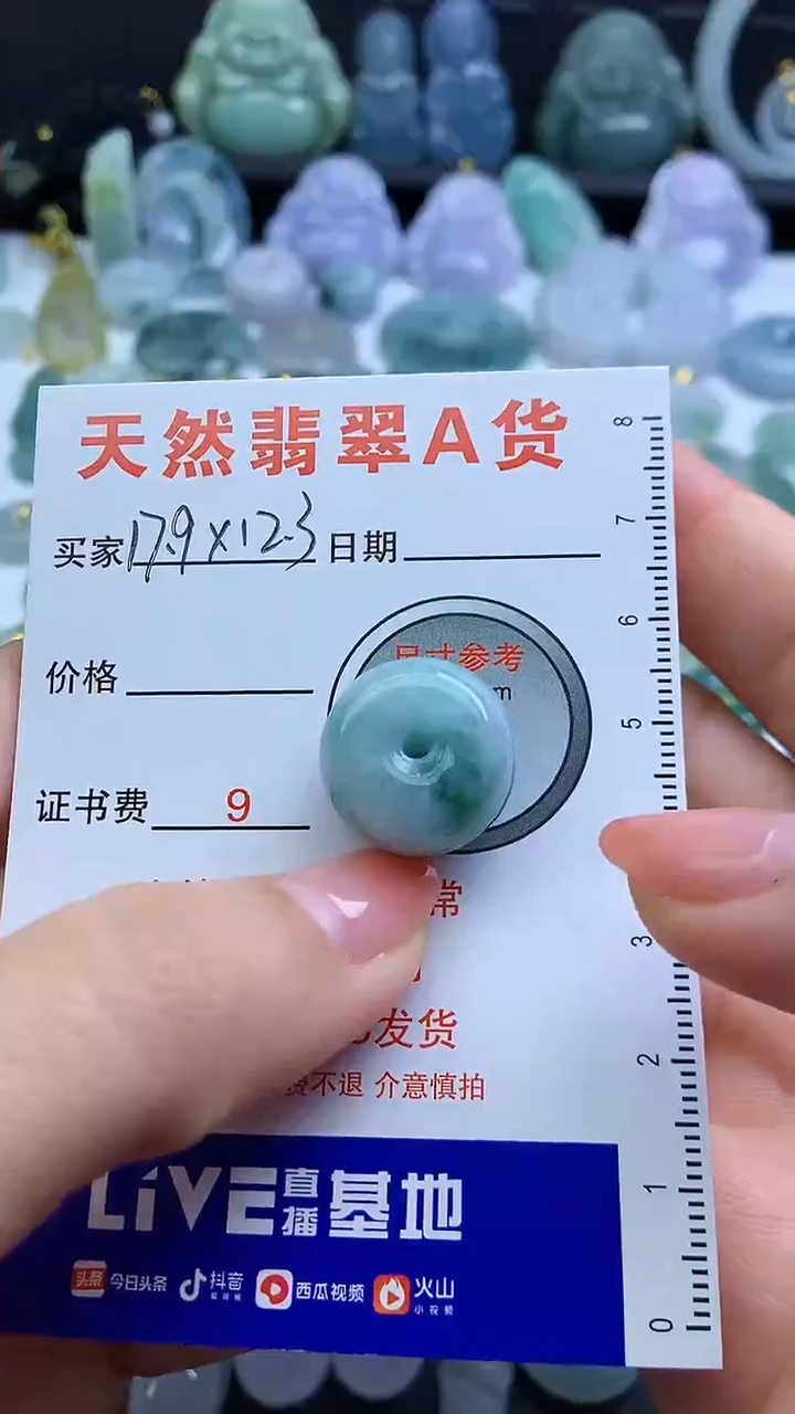 【闪购商品】翡翠颈饰未镶嵌1