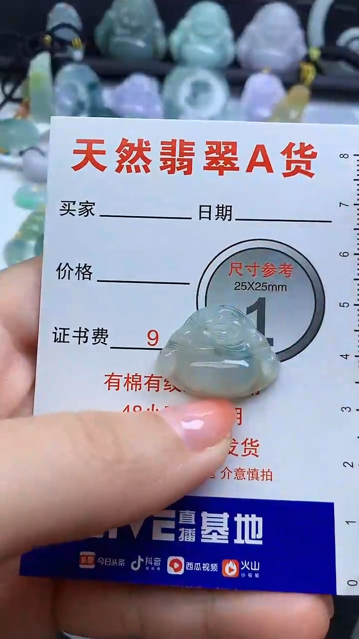 【闪购商品】翡翠颈饰未镶嵌1