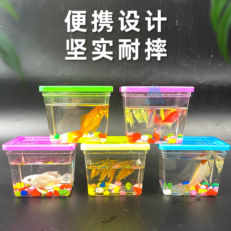 斗鱼杯透明塑料鱼缸乌龟盒儿童手提玩具宠物盒夜市摆摊爆款