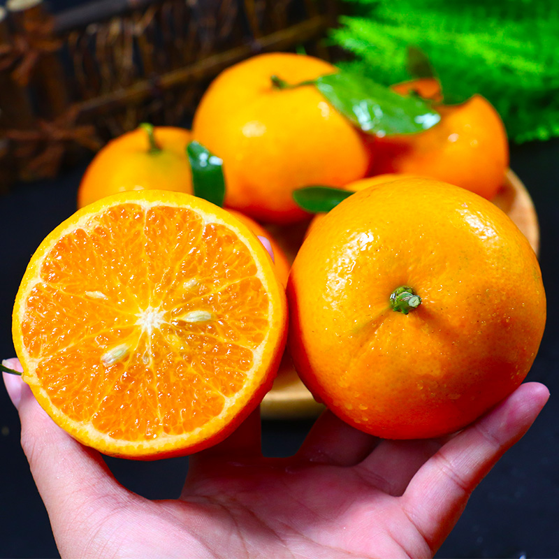 【头茬鲜果】新鲜武鸣沃柑5斤 广西应季水果橘子柑橘坏果包赔