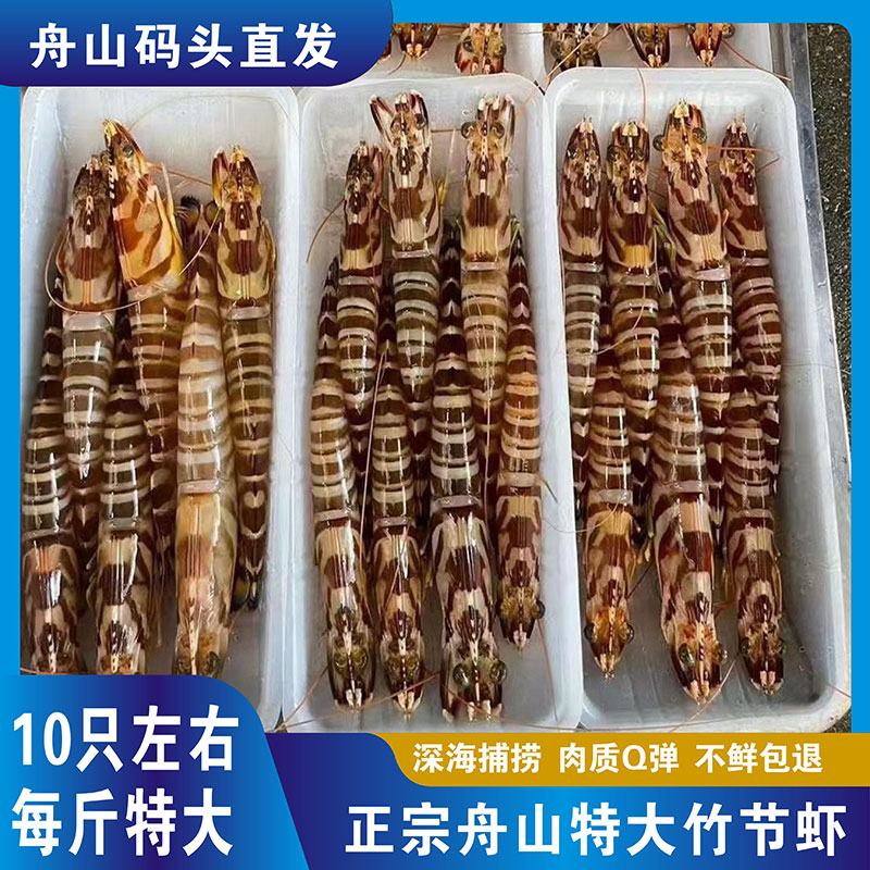 正宗舟山特大竹节虾