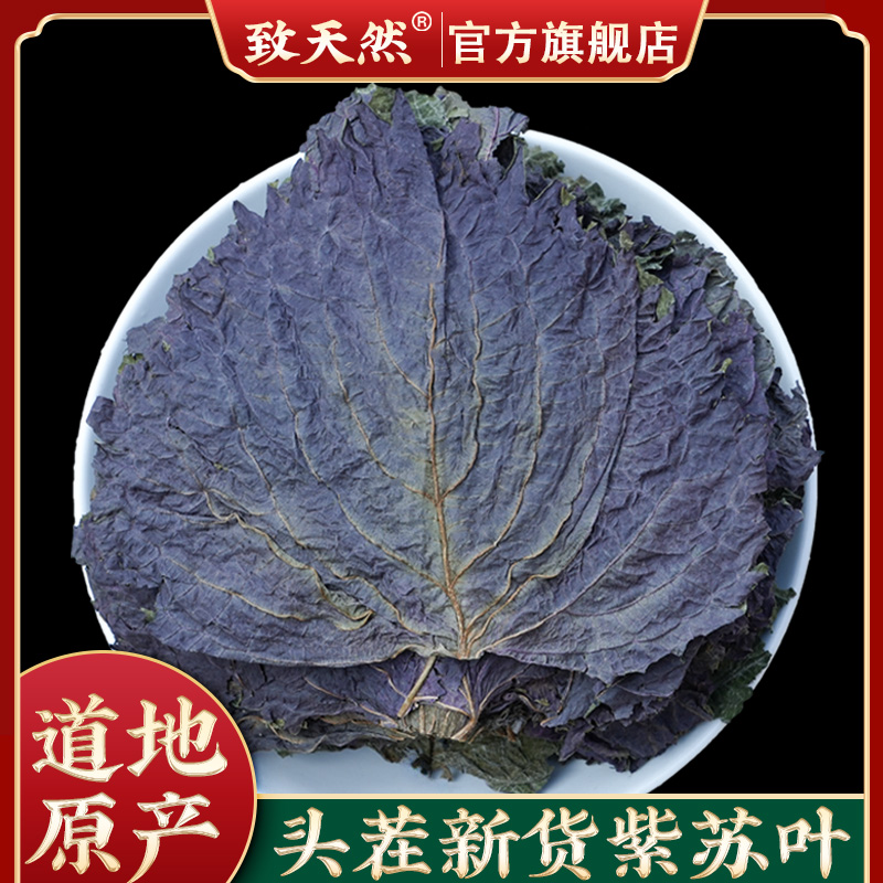 官方旗舰店正品紫苏广西原产地新货紫苏叶天然干紫苏叶泡水包邮