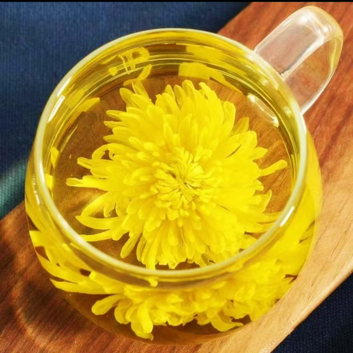 【新宁甄选】金丝黄菊