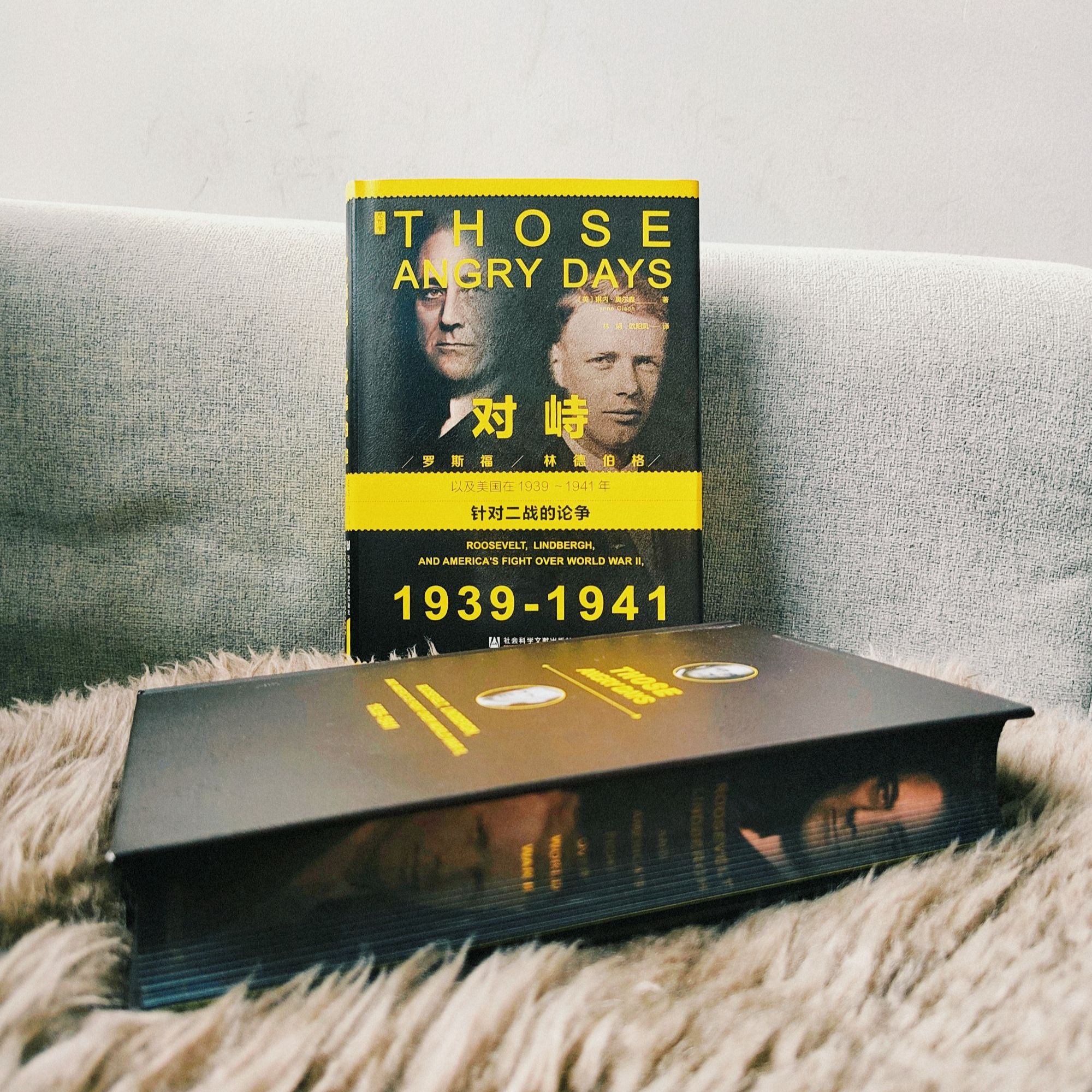 TZB 对峙:罗斯福、林德伯格,以及美国在1939～1941年针对二战的论争