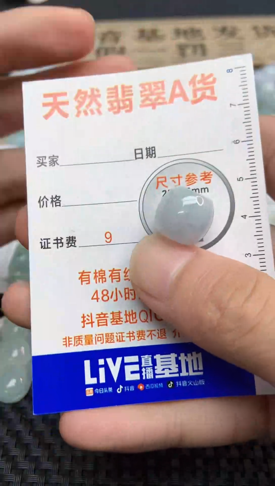 【闪购商品】翡翠颈饰未镶嵌30