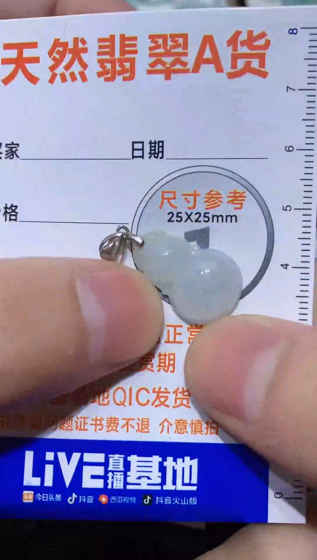 【闪购商品】翡翠颈饰银S925镶嵌3