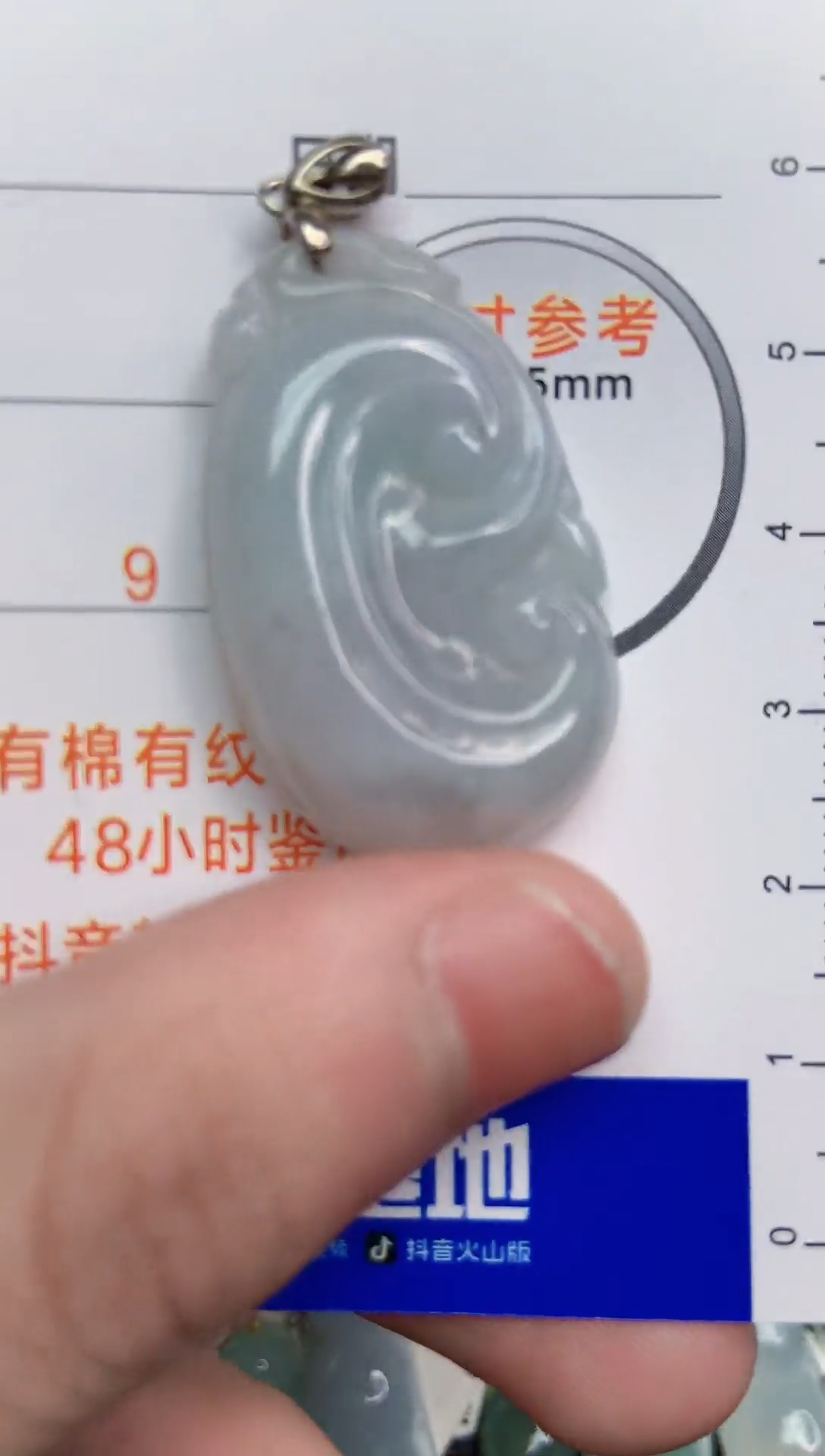 【闪购商品】翡翠颈饰银S925镶嵌24