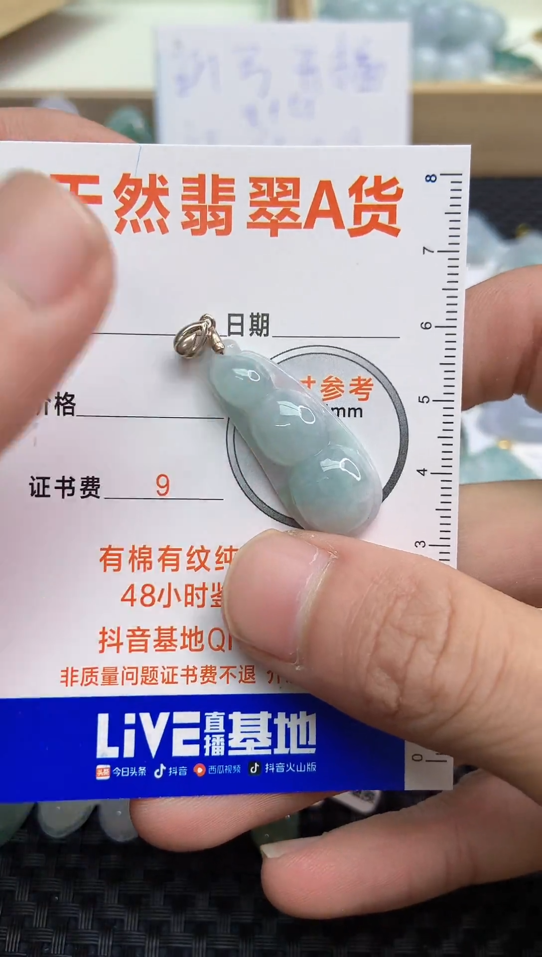 【闪购商品】翡翠颈饰银S925镶嵌21