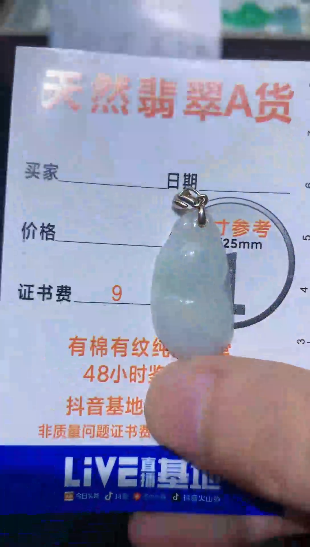【闪购商品】翡翠颈饰银S925镶嵌16