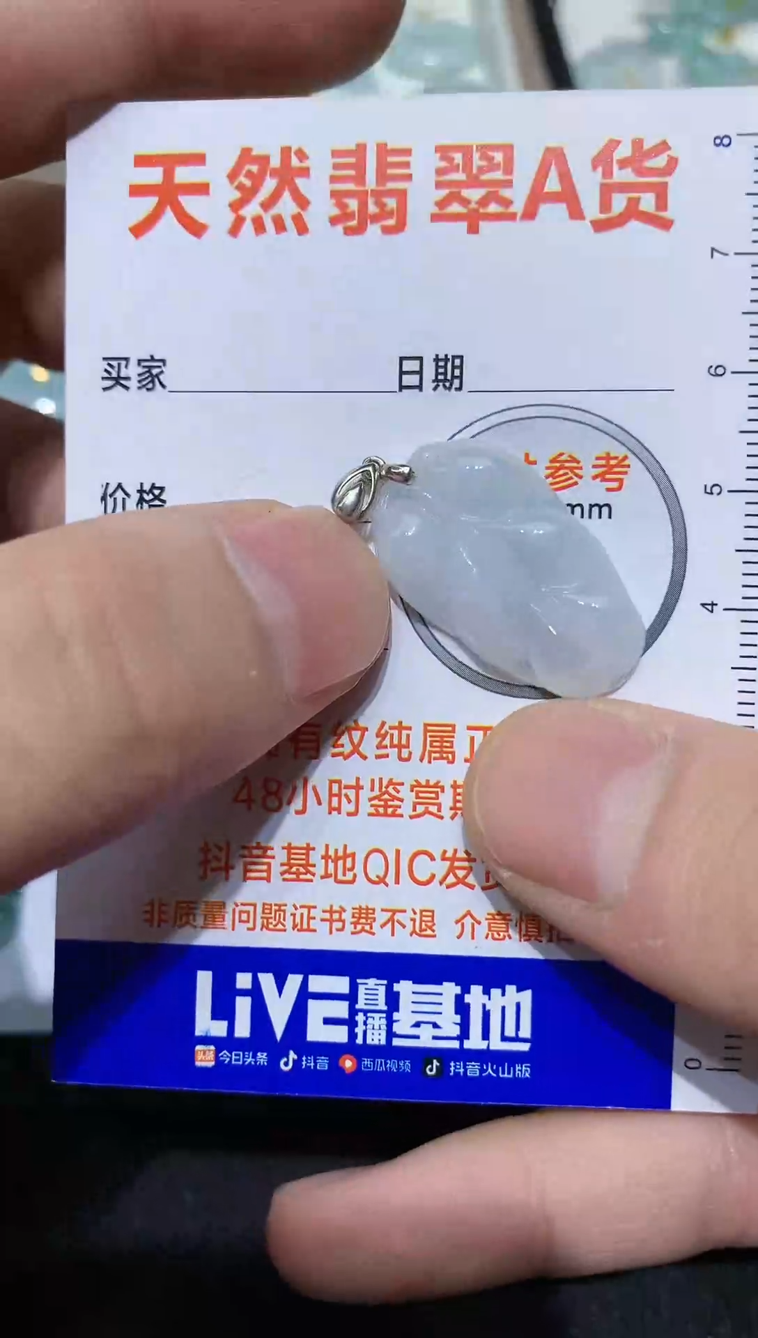 【闪购商品】翡翠颈饰银S925镶嵌46