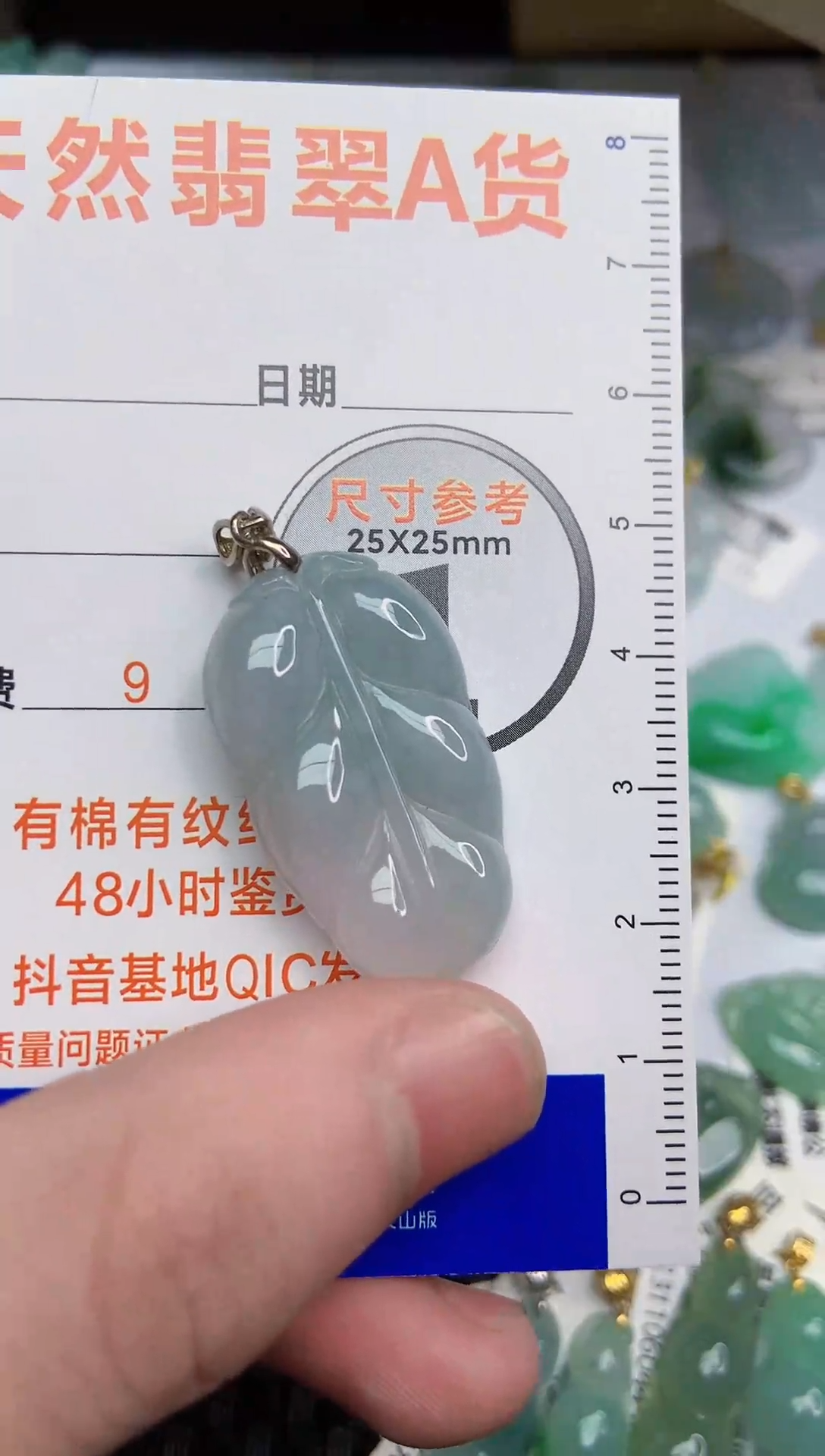 【闪购商品】翡翠颈饰银S925镶嵌75