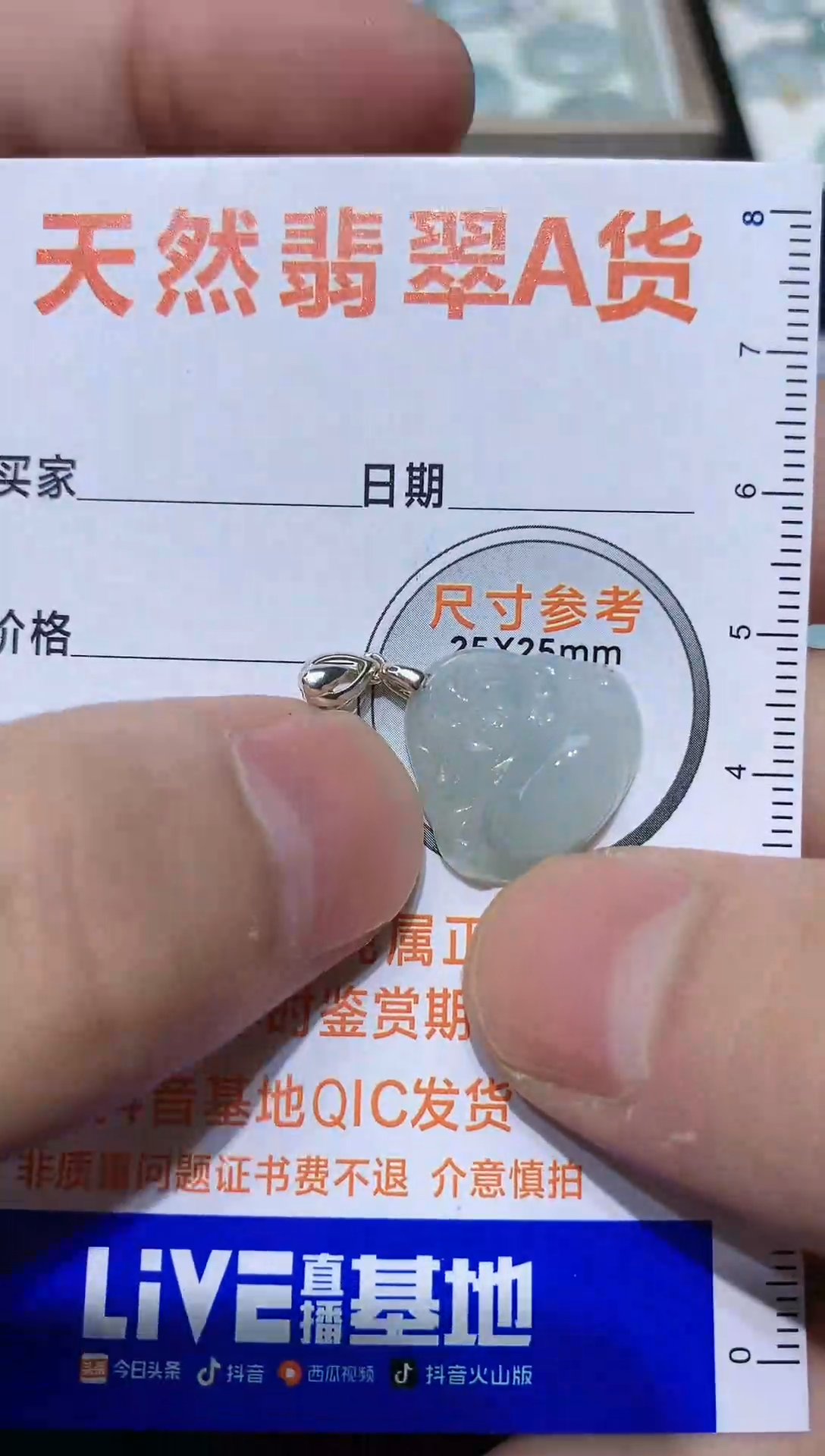 【闪购商品】翡翠颈饰银S925镶嵌5