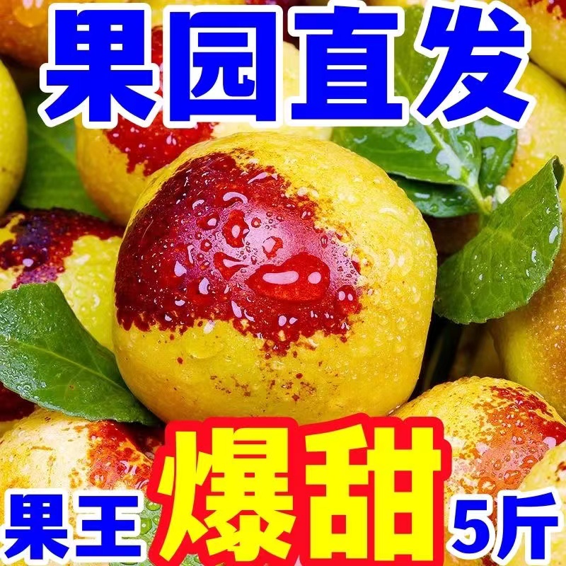 精品冬枣自然成熟新鲜甜脆冬枣香甜可口酥脆多汁新鲜采摘
