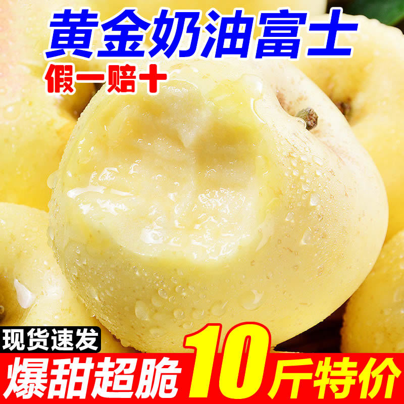 【下单即发】黄金奶油富士山东烟台新鲜当季水果冰糖心正宗丑平果