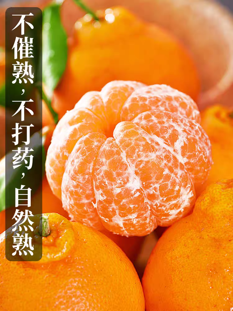 正宗优质四川春见耙耙柑，皮薄细嫩肉质中果大果无籽优选粑粑